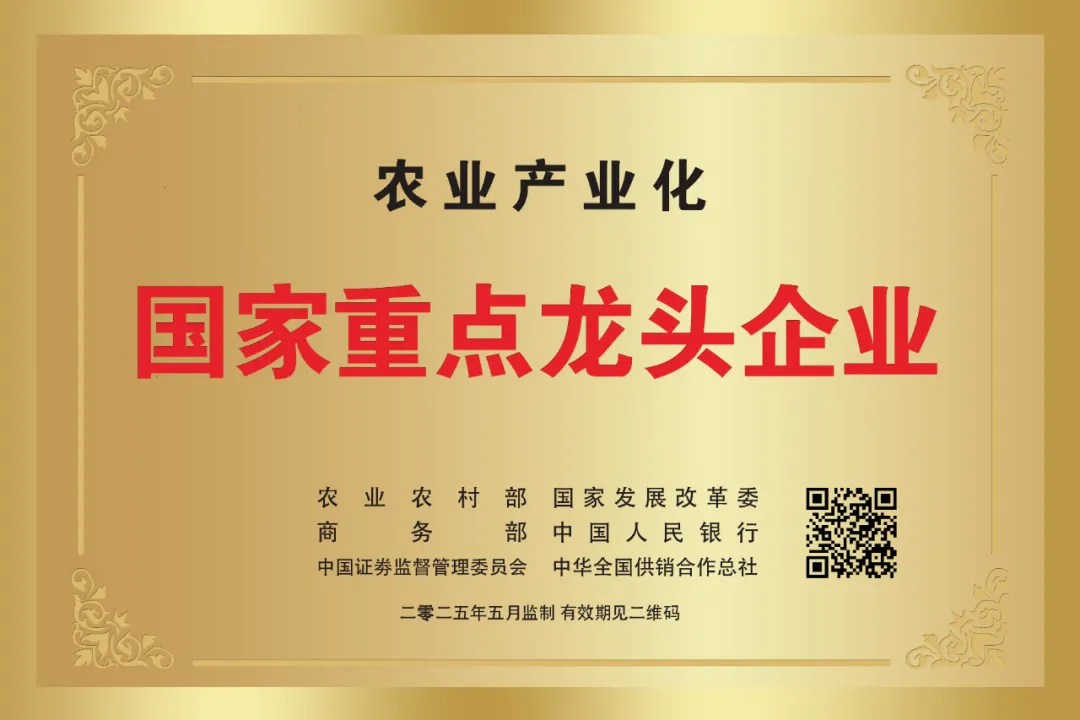 华兴宠物