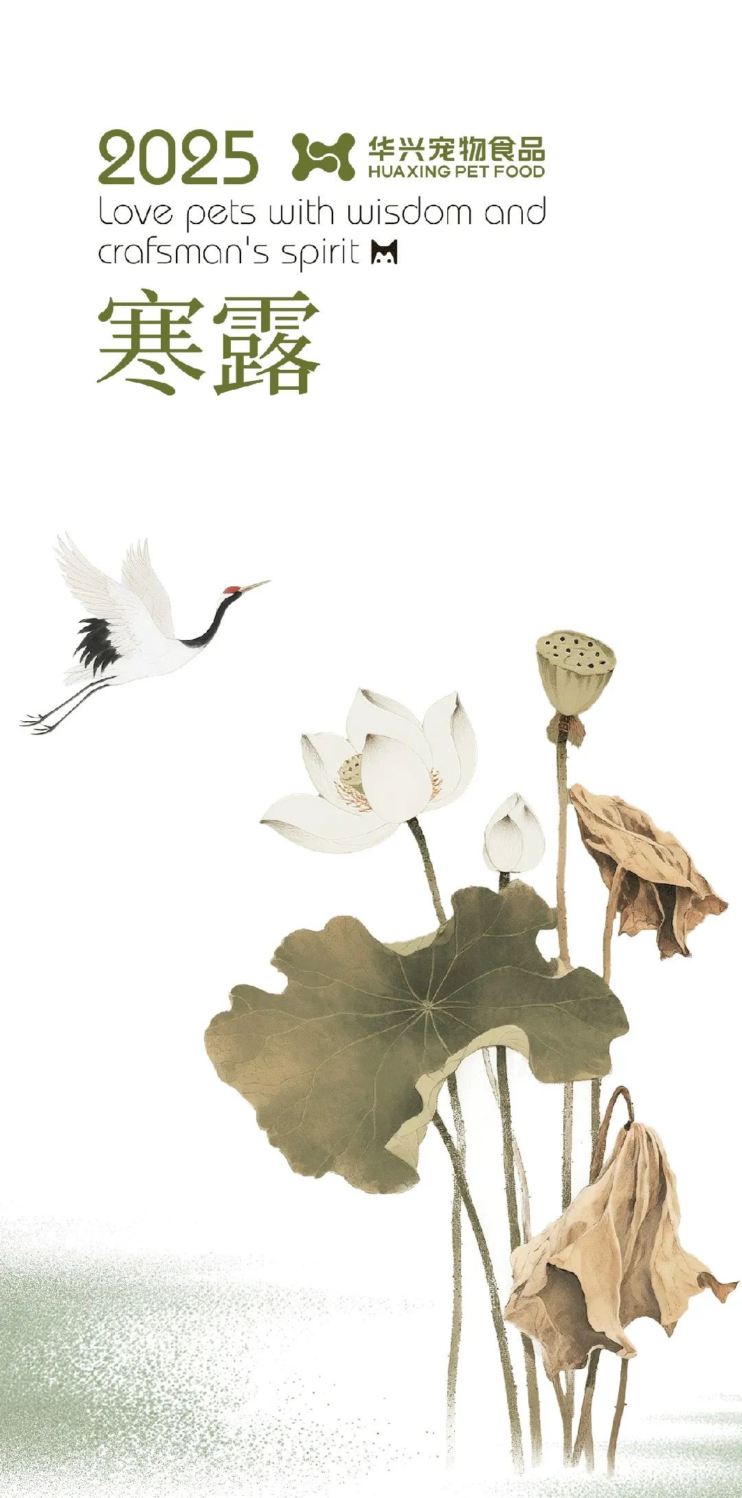 华兴宠物