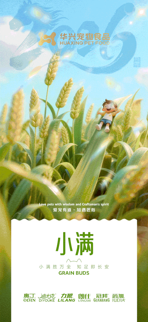 华兴宠物