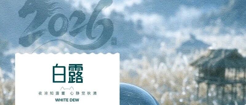 华兴宠物