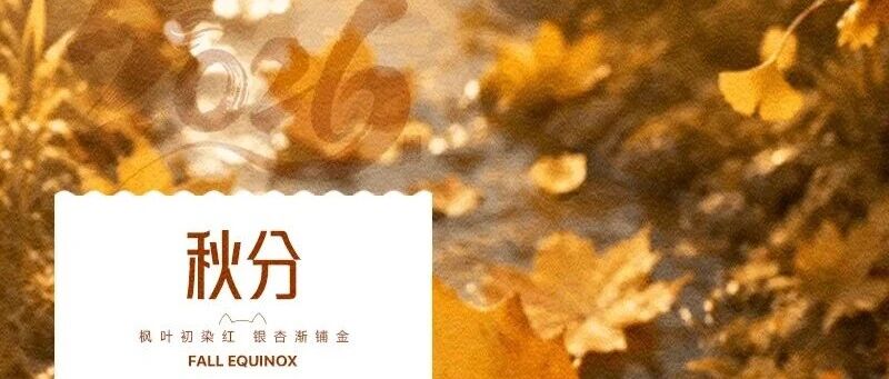 华兴宠物