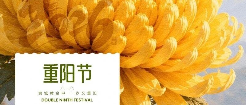 华兴宠物